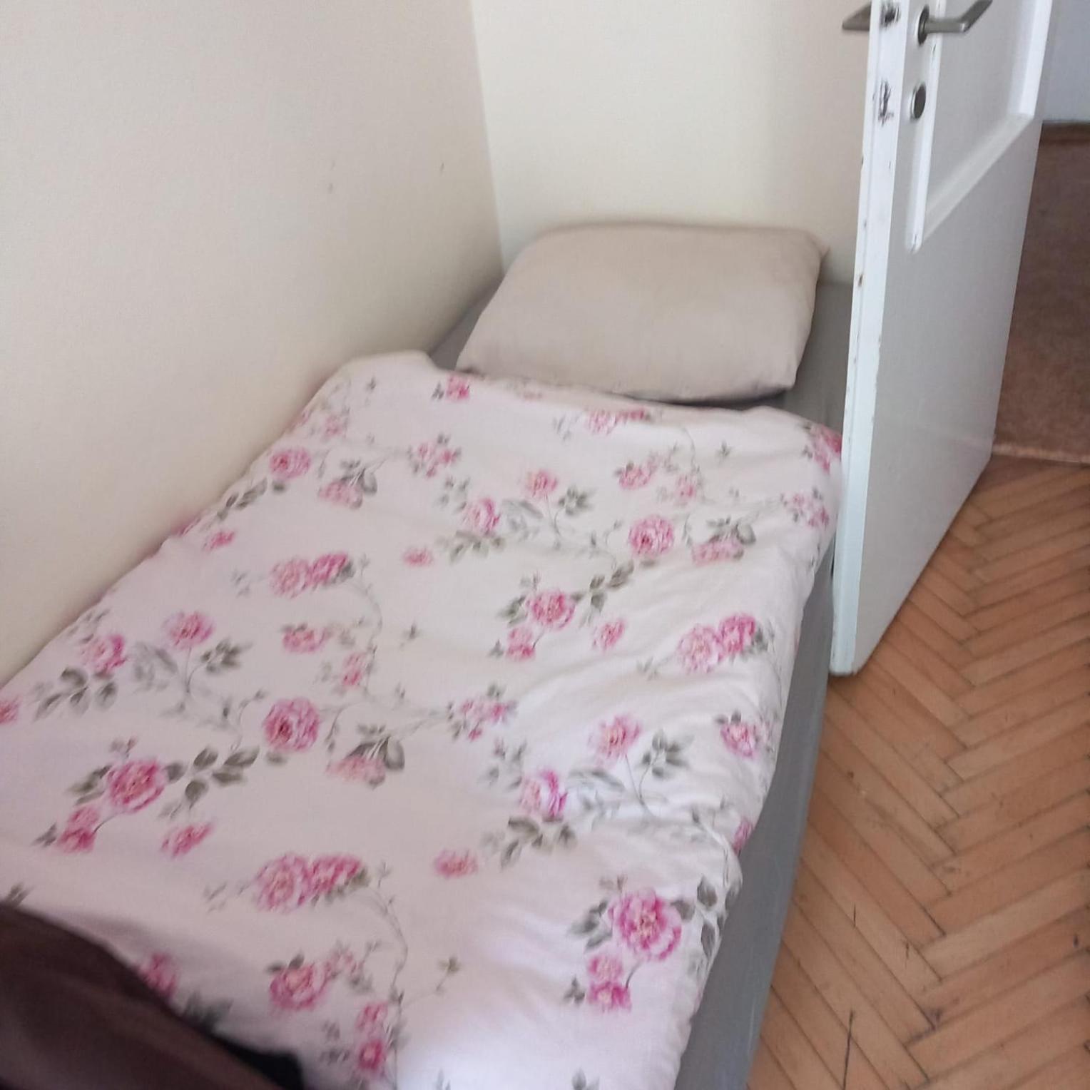 Flat 18 Minutes From Vaclavske Namesti Prag